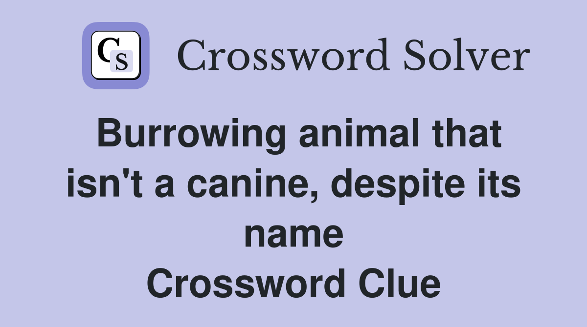 Burrowing animal that isn't a canine, despite its name Crossword Clue
