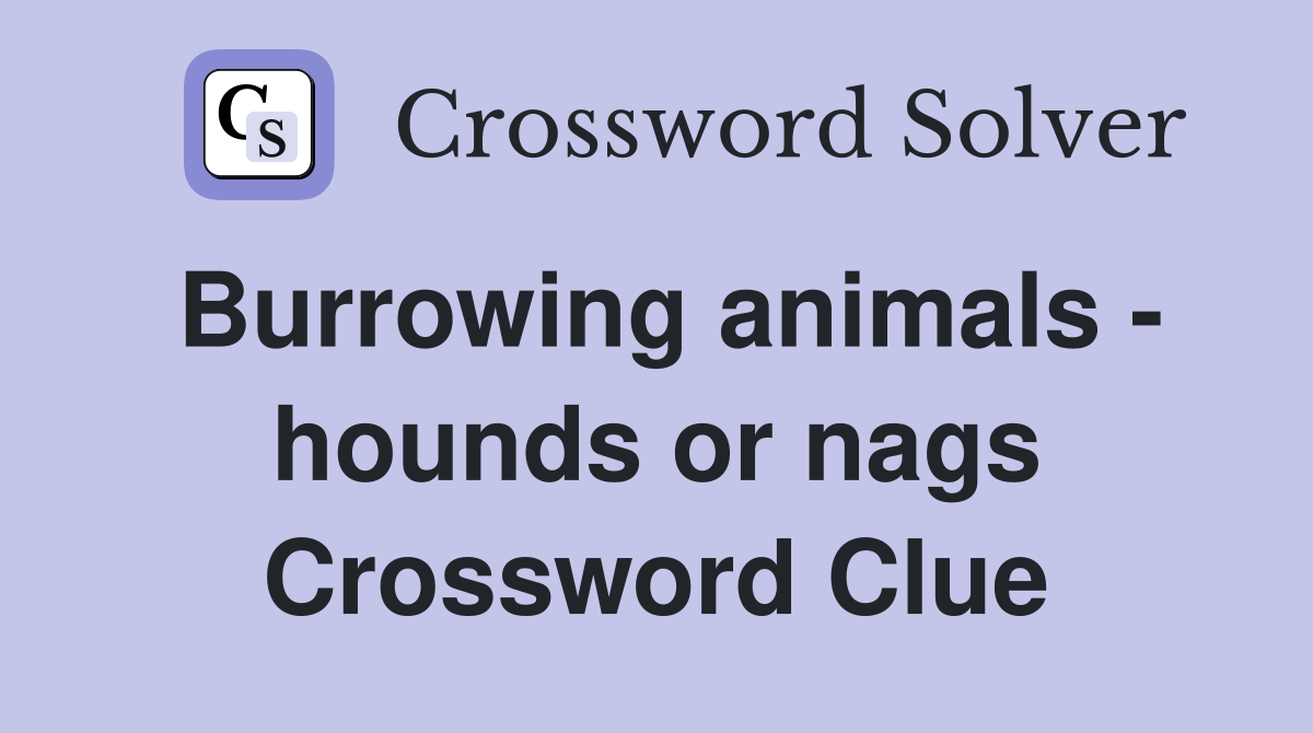Burrowing animals - hounds or nags Crossword Clue