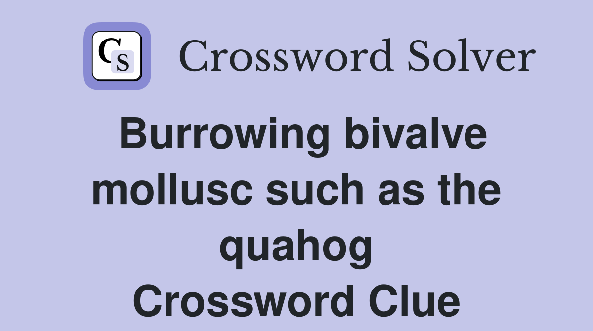 Burrowing bivalve mollusc such as the quahog Crossword Clue