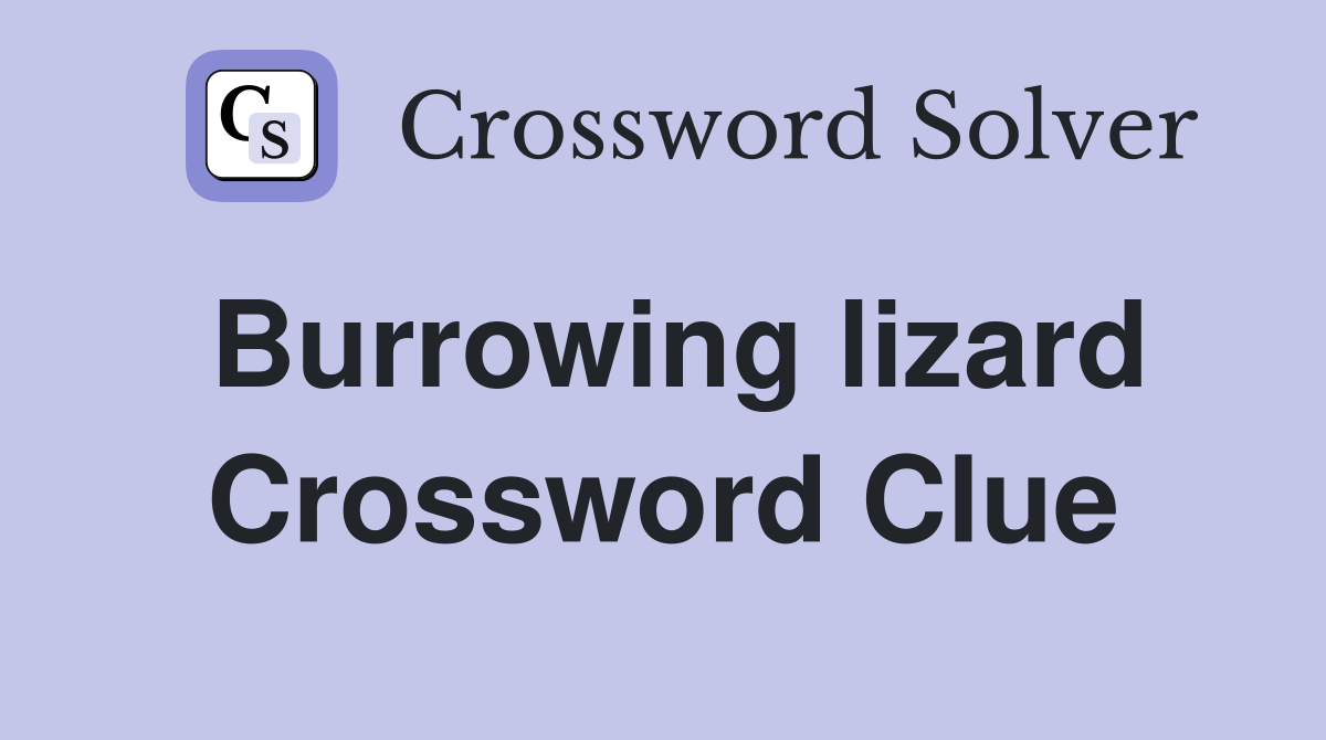Burrowing lizard Crossword Clue