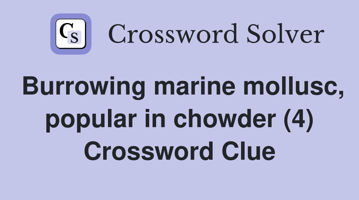 Burrowing marine mollusc, popular in chowder (4) Crossword Clue