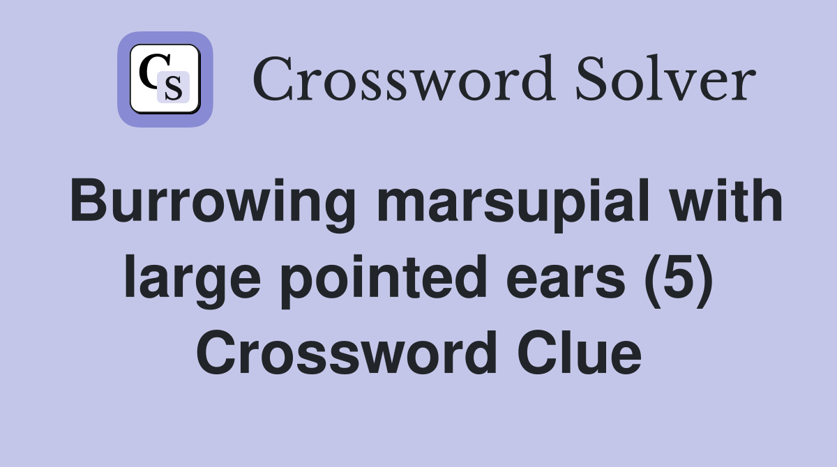Burrowing marsupial with large pointed ears (5) Crossword Clue