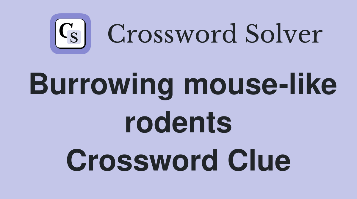 Burrowing mouse-like rodents Crossword Clue