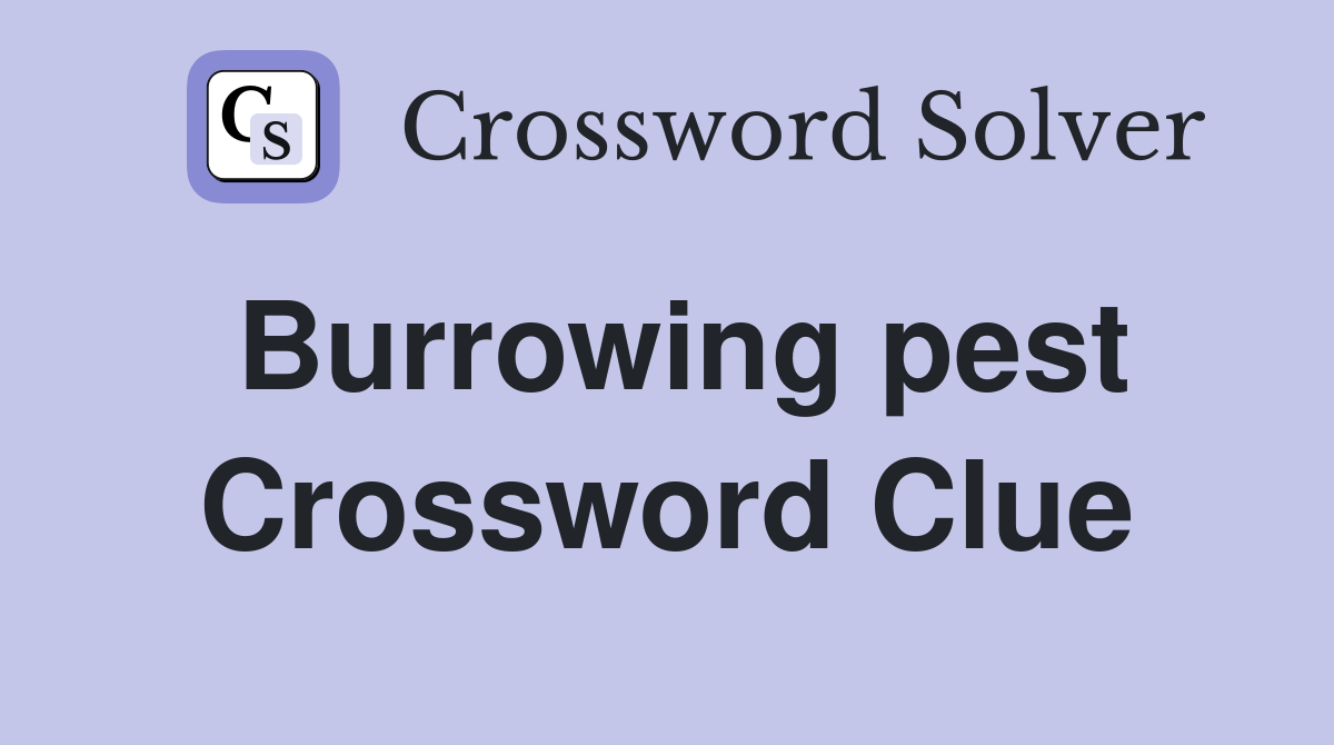 Burrowing pest Crossword Clue