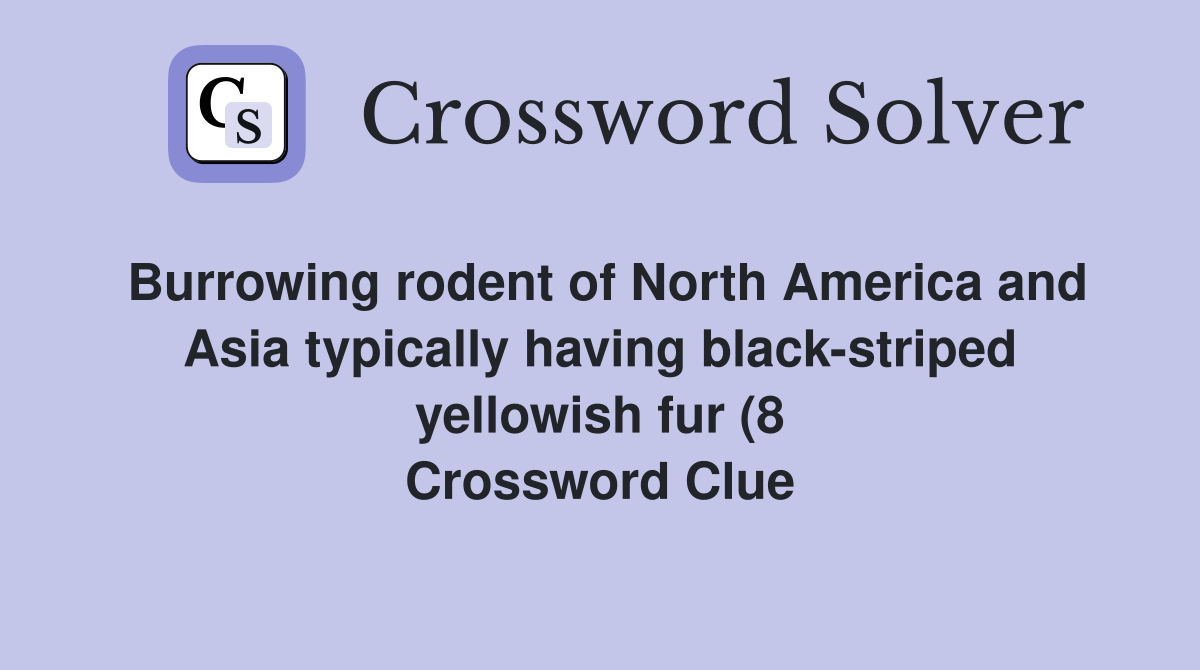 Burrowing rodent of North America and Asia typically having black Burrowing rodent of North America and Asia typically having black