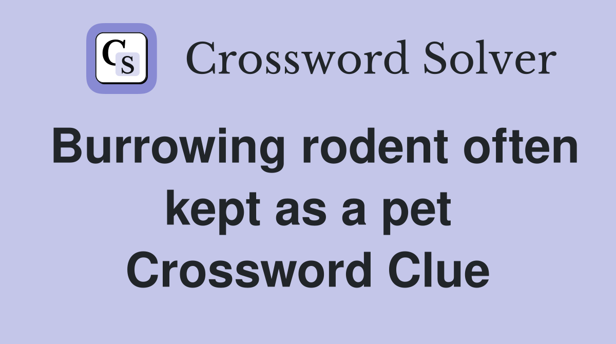 Burrowing rodent often kept as a pet Crossword Clue
