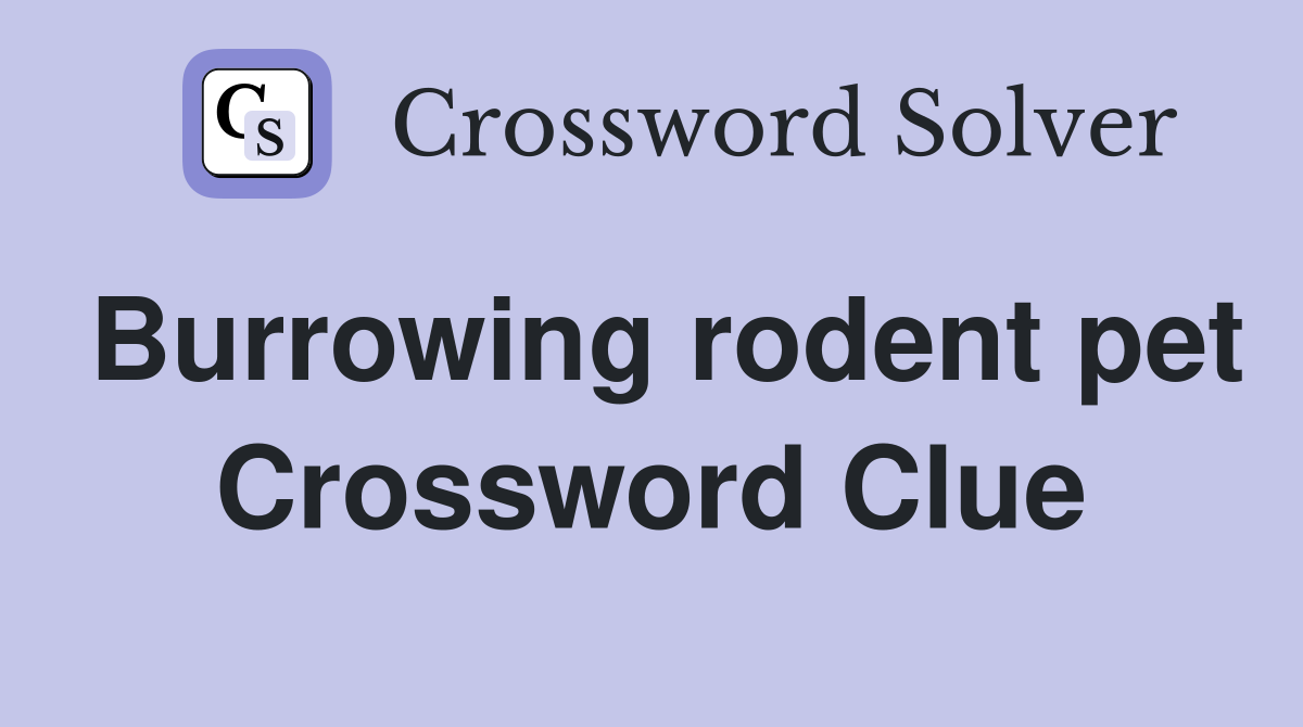 Burrowing rodent pet Crossword Clue