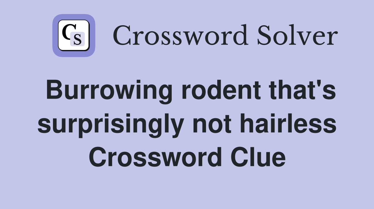 Burrowing rodent that's surprisingly not hairless Crossword Clue