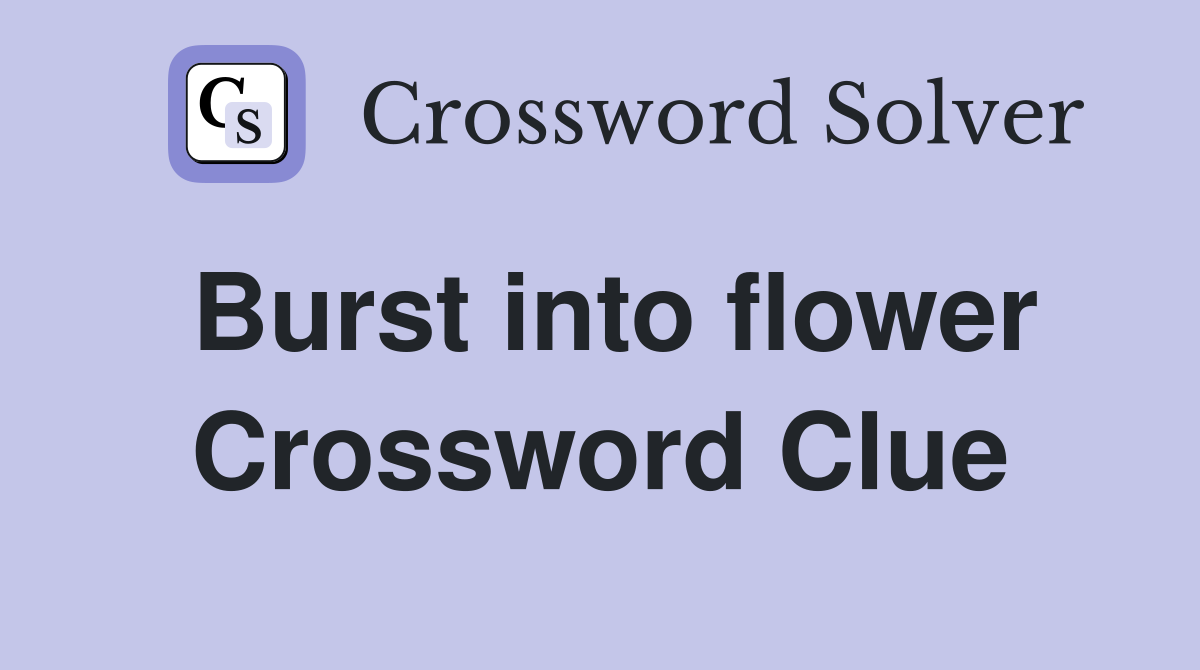 Burst into flower Crossword Clue