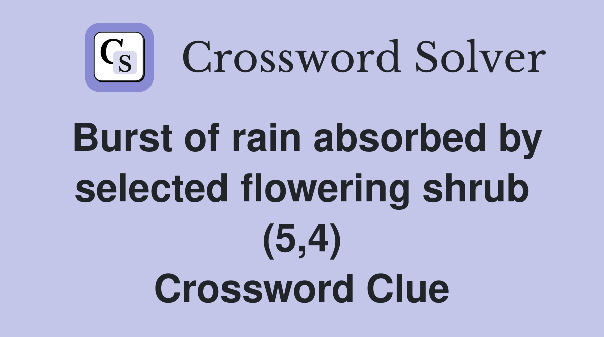 Burst of rain absorbed by selected flowering shrub (5,4) Crossword Clue