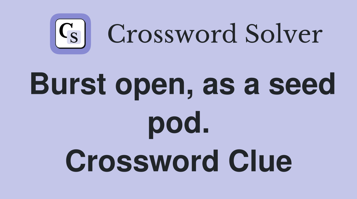Burst open, as a seed pod. Crossword Clue