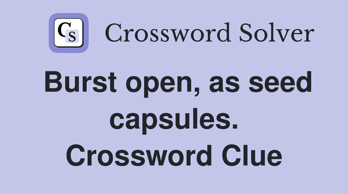 Burst open, as seed capsules. Crossword Clue