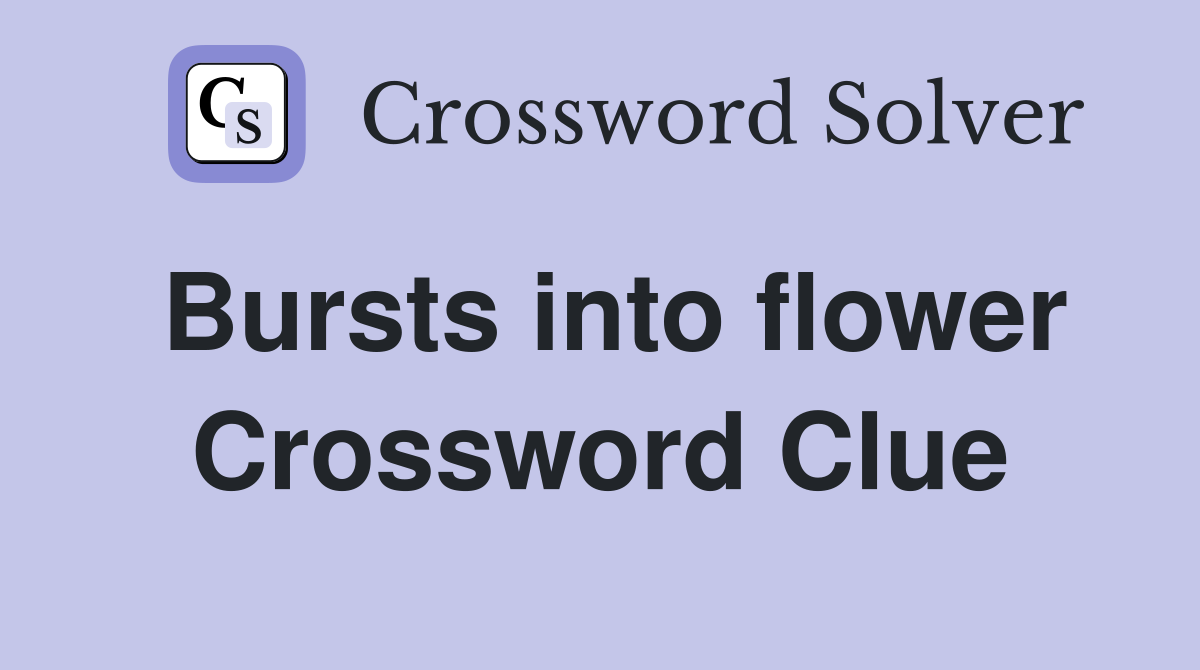 Bursts into flower Crossword Clue