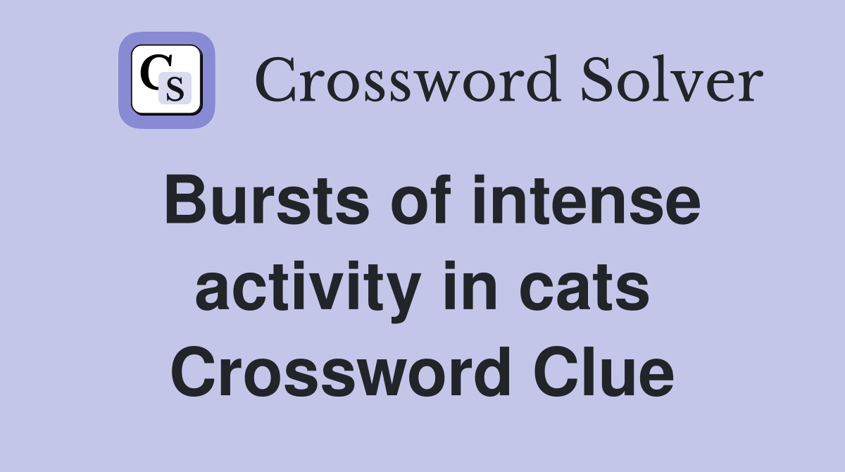 Bursts of intense activity in cats Crossword Clue