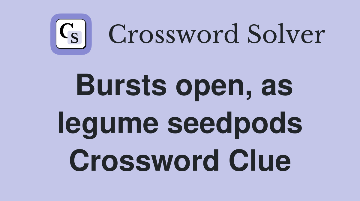 Bursts open, as legume seedpods Crossword Clue