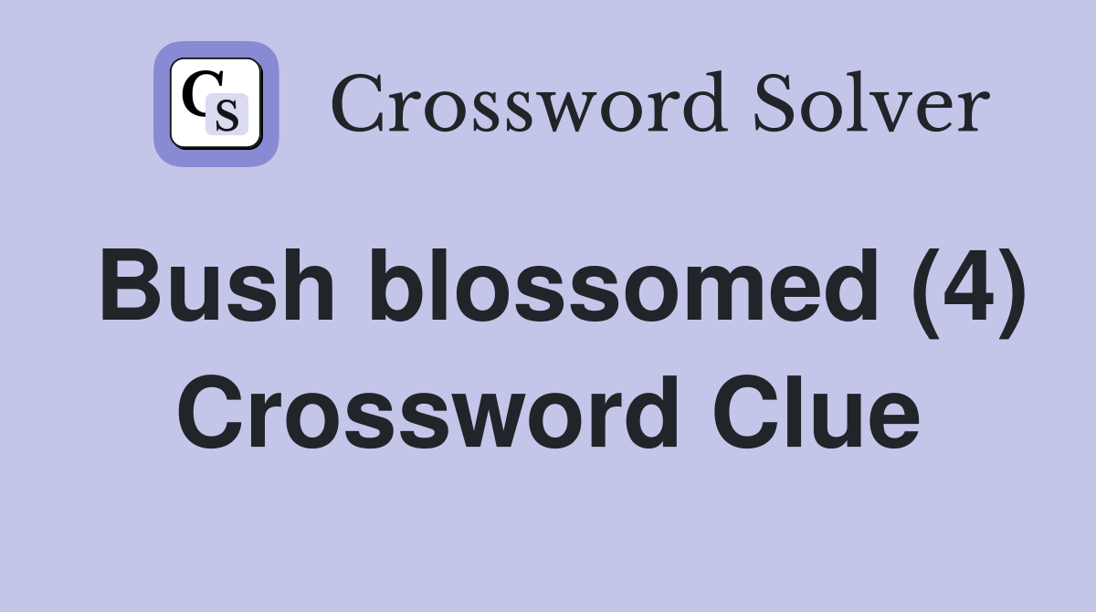 Bush blossomed (4) Crossword Clue
