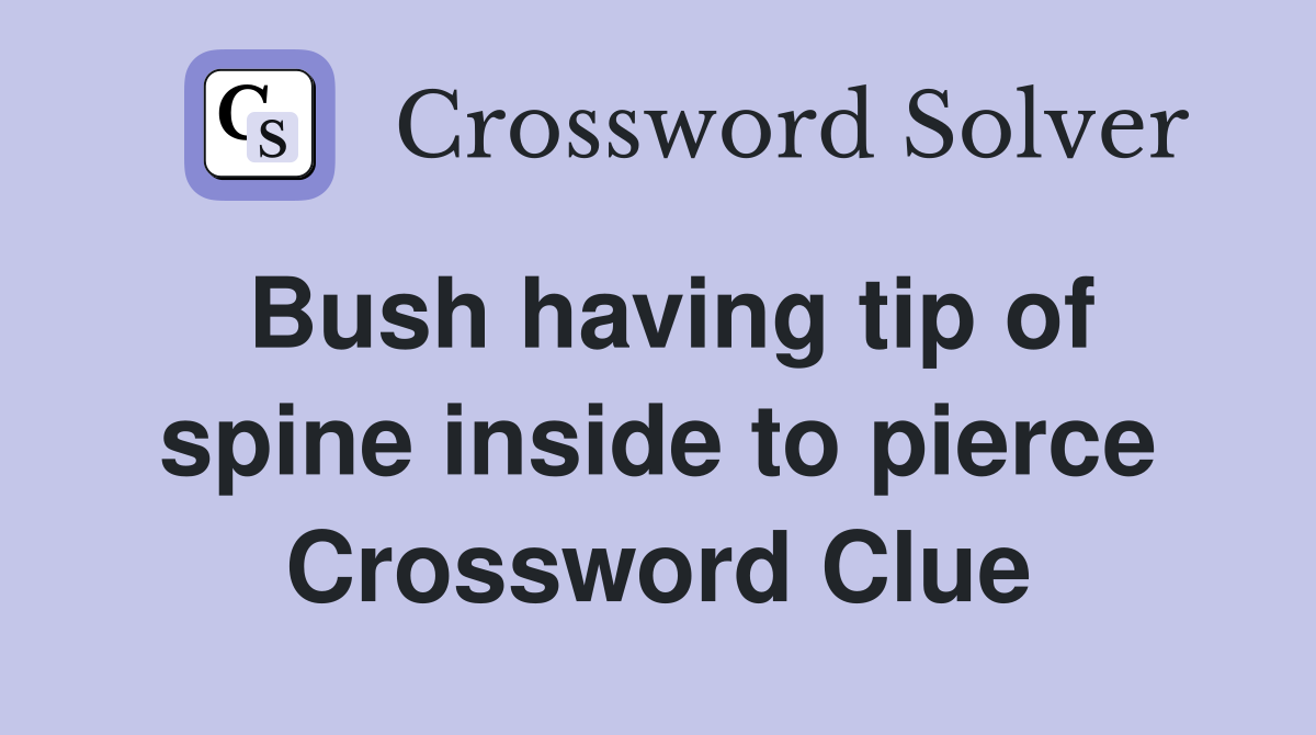 Bush having tip of spine inside to pierce Crossword Clue