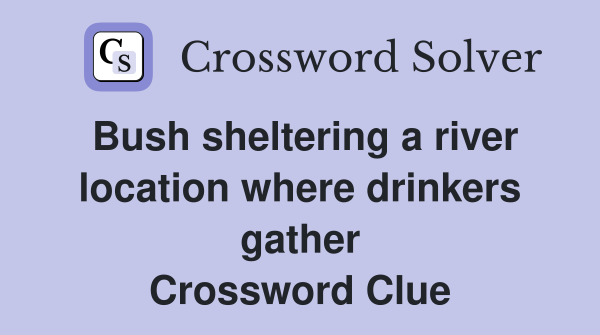 Bush sheltering a river location where drinkers gather Crossword Clue