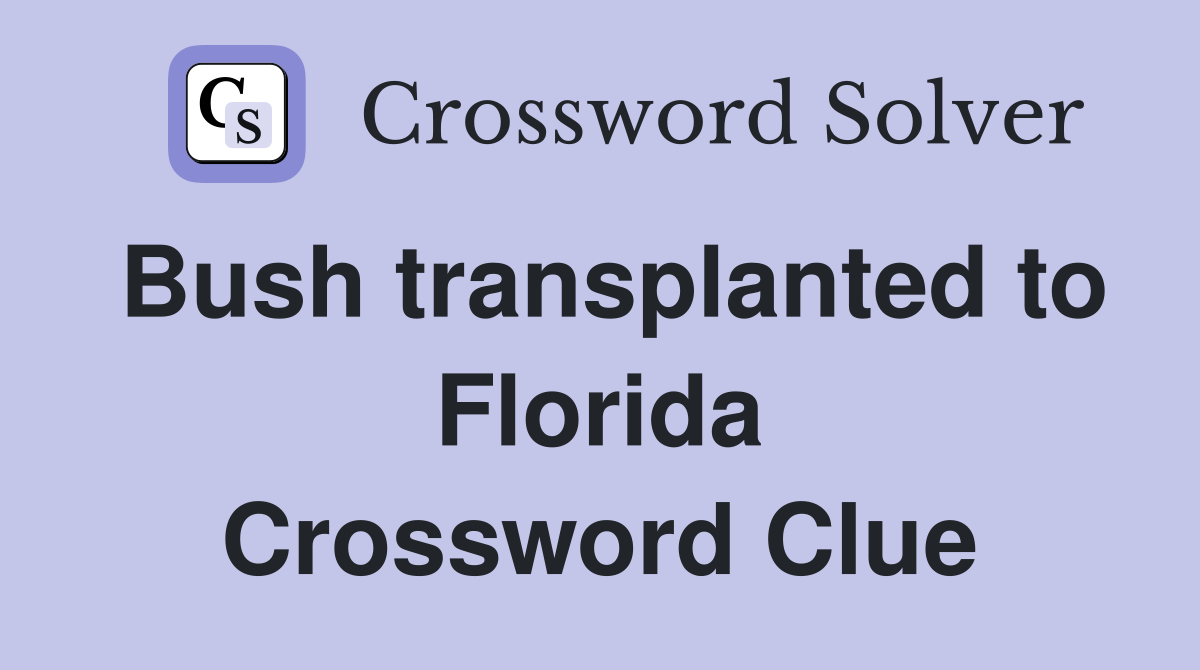 Bush transplanted to Florida Crossword Clue