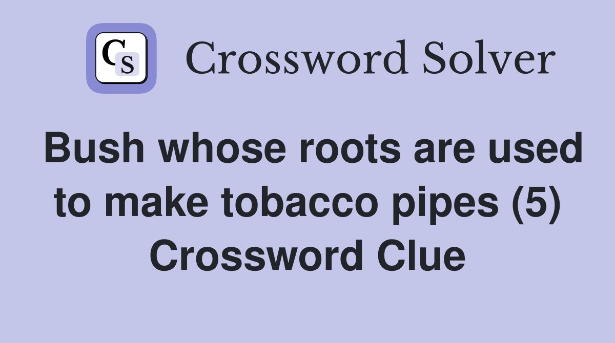 Bush whose roots are used to make tobacco pipes (5) Crossword Clue