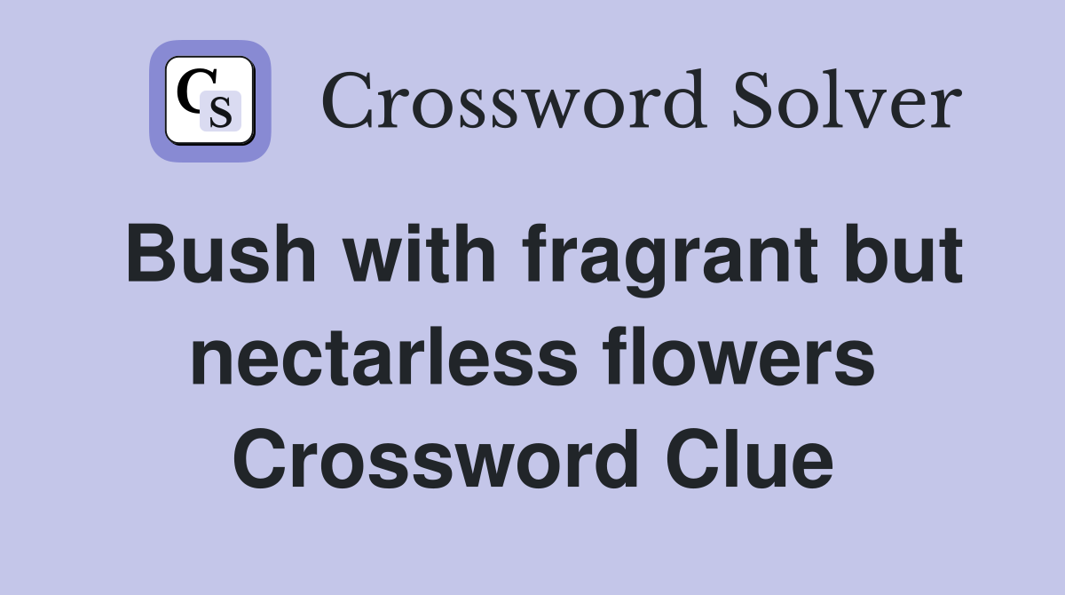 Bush with fragrant but nectarless flowers Crossword Clue
