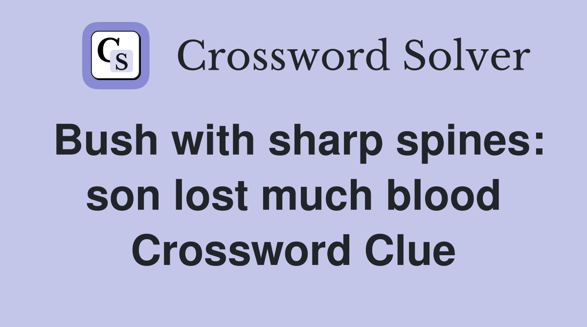 Bush with sharp spines: son lost much blood Crossword Clue