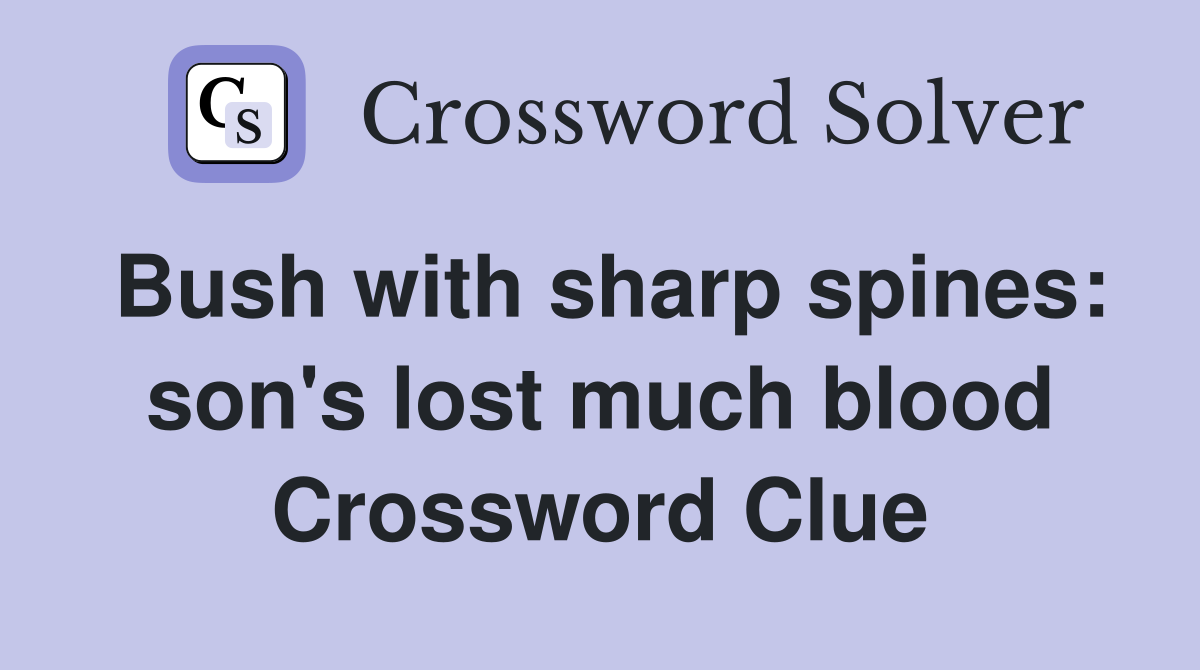 Bush with sharp spines: son's lost much blood Crossword Clue