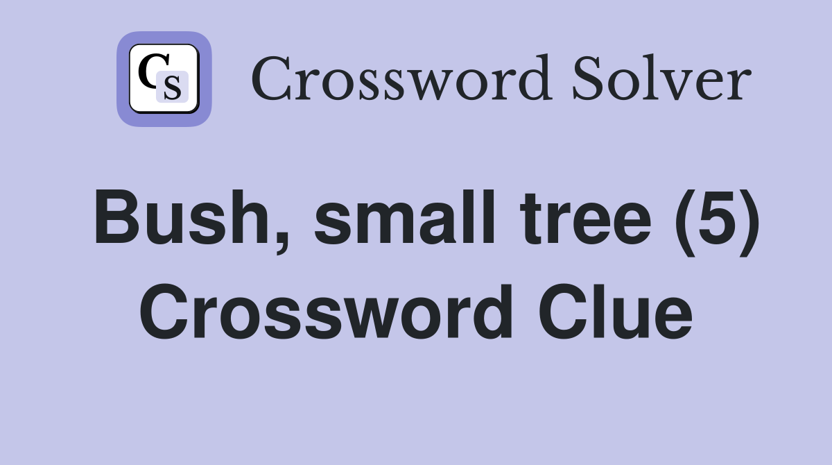 Bush, small tree (5) Crossword Clue