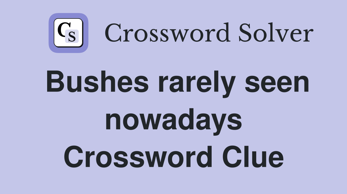 Bushes rarely seen nowadays Crossword Clue