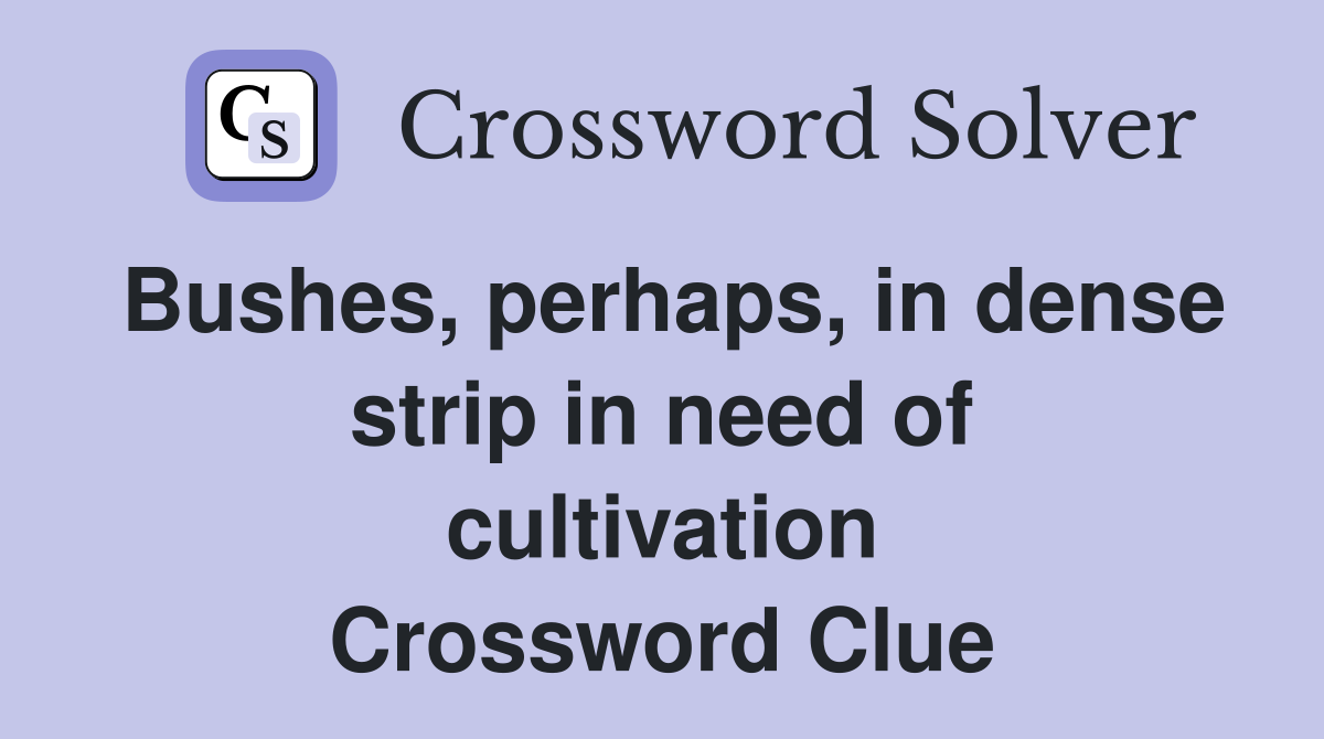 Bushes, perhaps, in dense strip in need of cultivation Crossword Clue