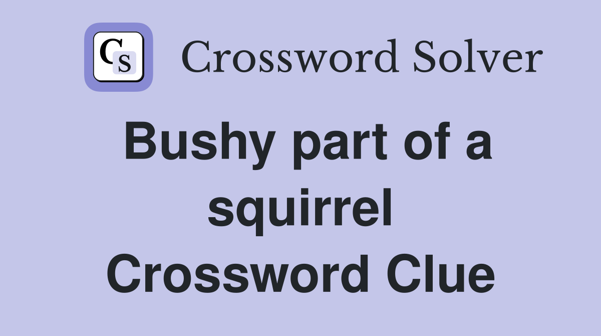 Bushy part of a squirrel Crossword Clue