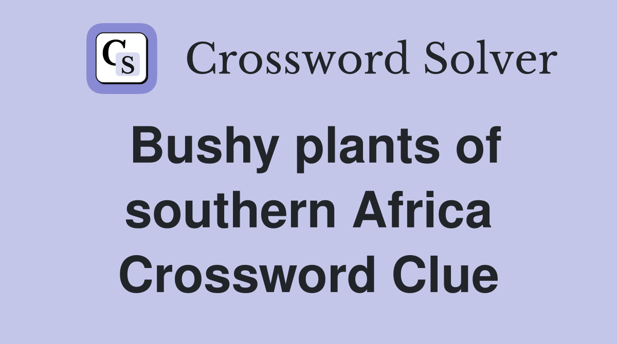 Bushy plants of southern Africa Crossword Clue