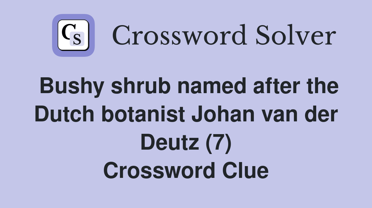 Bushy shrub named after the Dutch botanist Johan van der Deutz (7) Crossword Clue