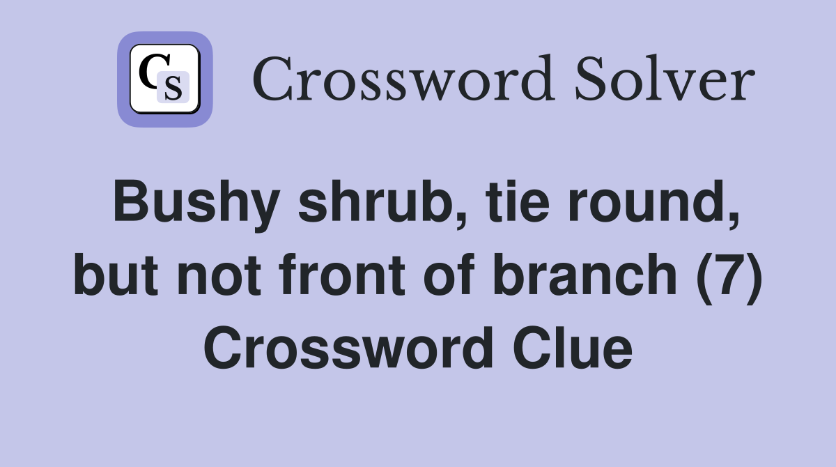 Bushy shrub, tie round, but not front of branch (7) Crossword Clue