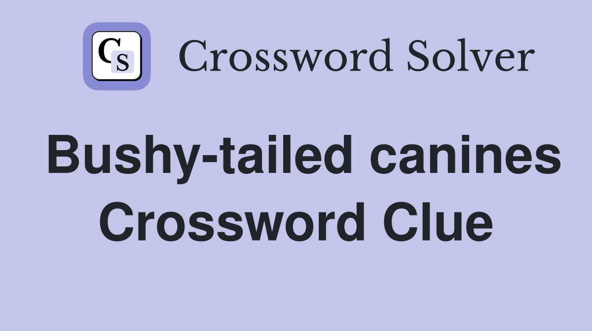 Bushy-tailed canines Crossword Clue