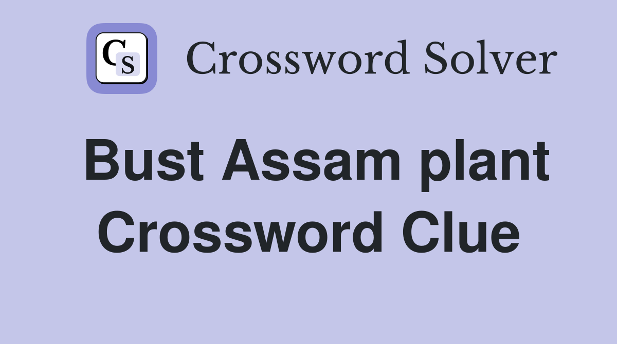 Bust Assam plant Crossword Clue