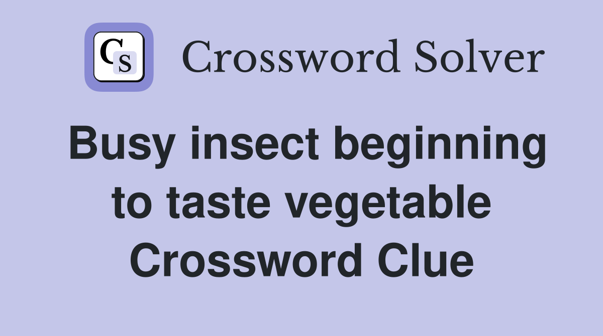 Busy insect beginning to taste vegetable Crossword Clue