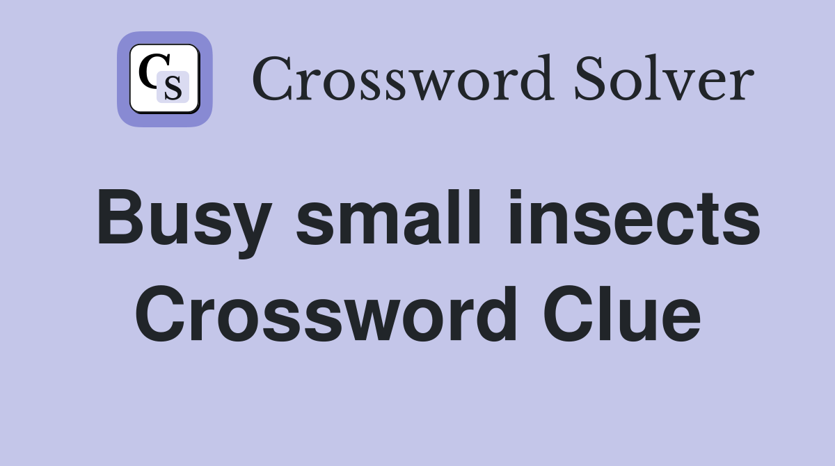 Busy small insects Crossword Clue