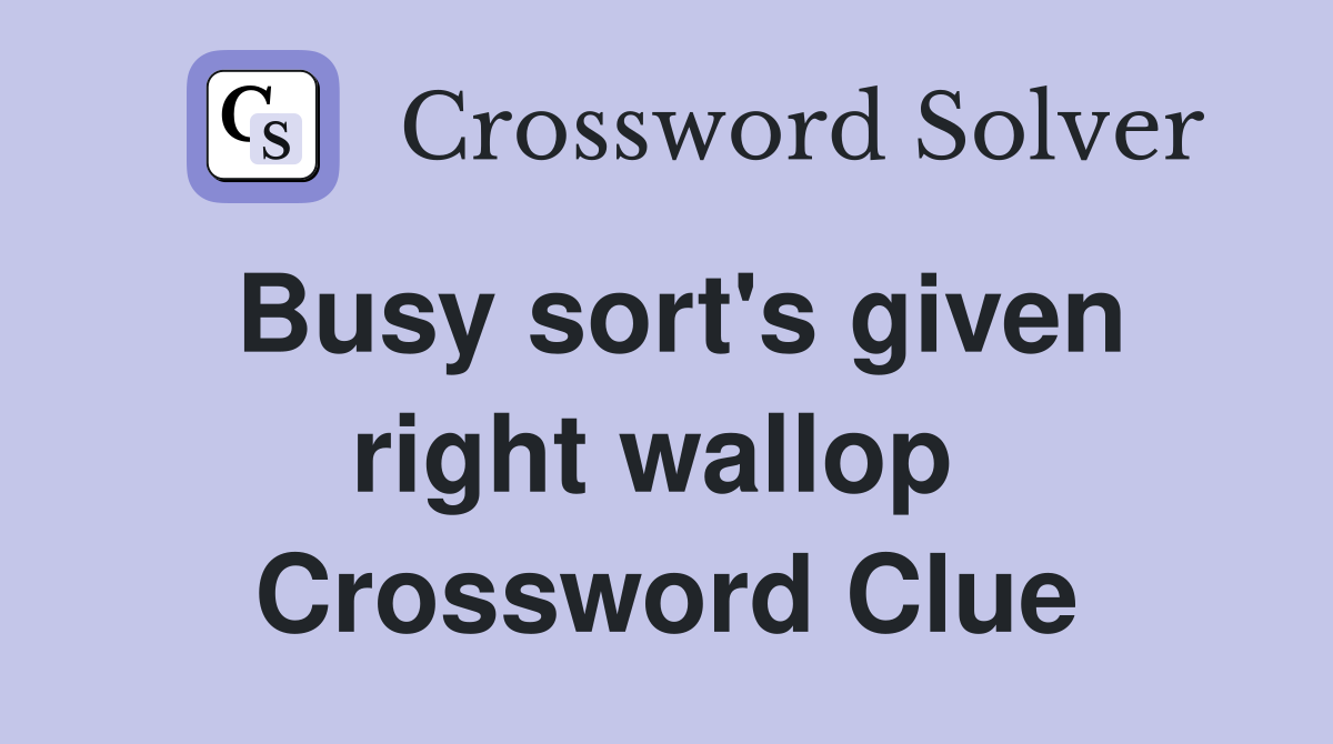 Busy sort's given right wallop  Crossword Clue
