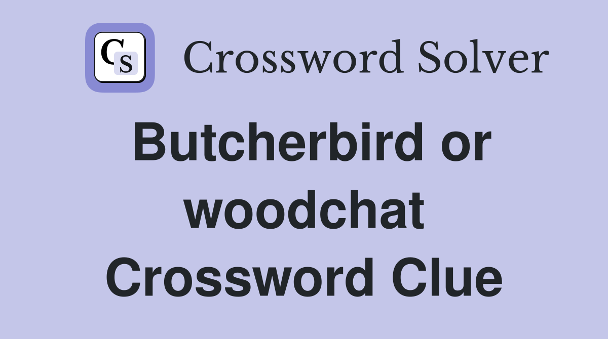Butcherbird or woodchat Crossword Clue