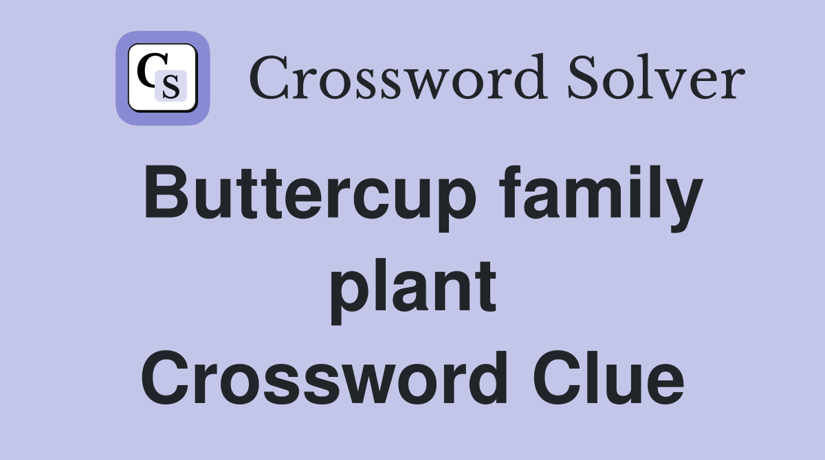 Buttercup family plant Crossword Clue