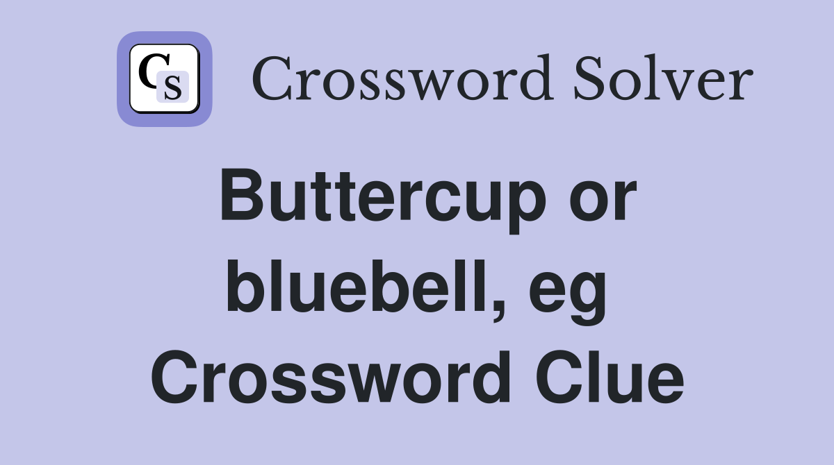 Buttercup or bluebell, eg Crossword Clue