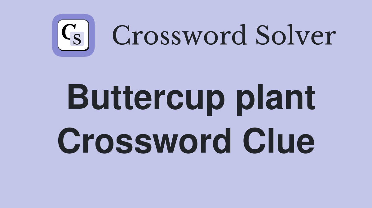 Buttercup plant Crossword Clue
