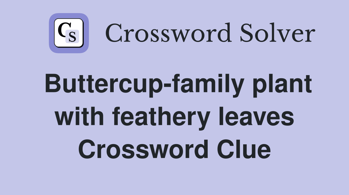 Buttercup-family plant with feathery leaves Crossword Clue