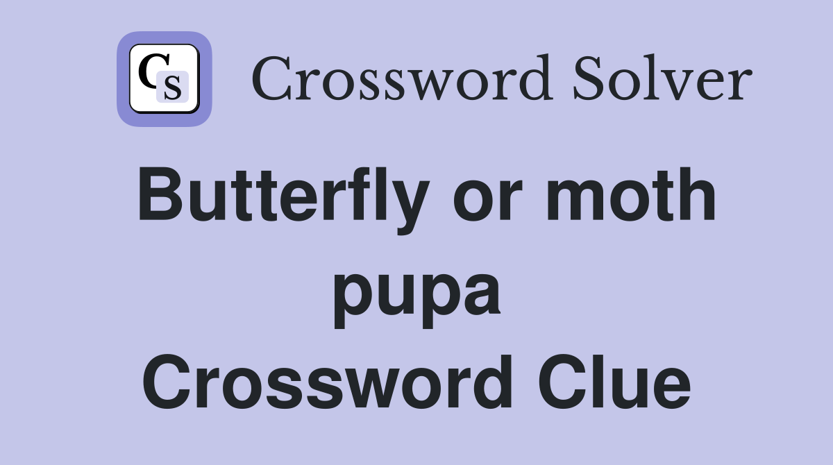 Butterfly or moth pupa Crossword Clue