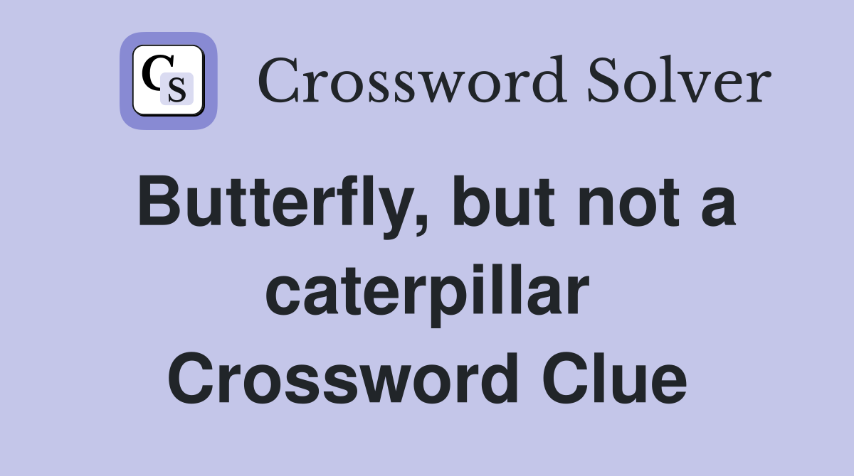 Butterfly, but not a caterpillar Crossword Clue
