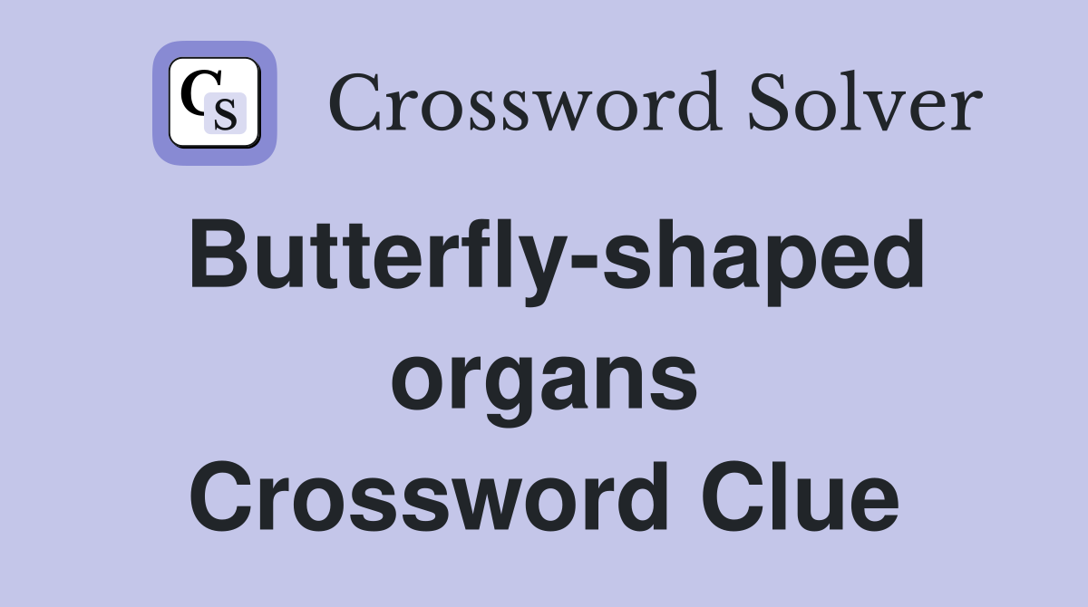 Butterfly-shaped organs Crossword Clue