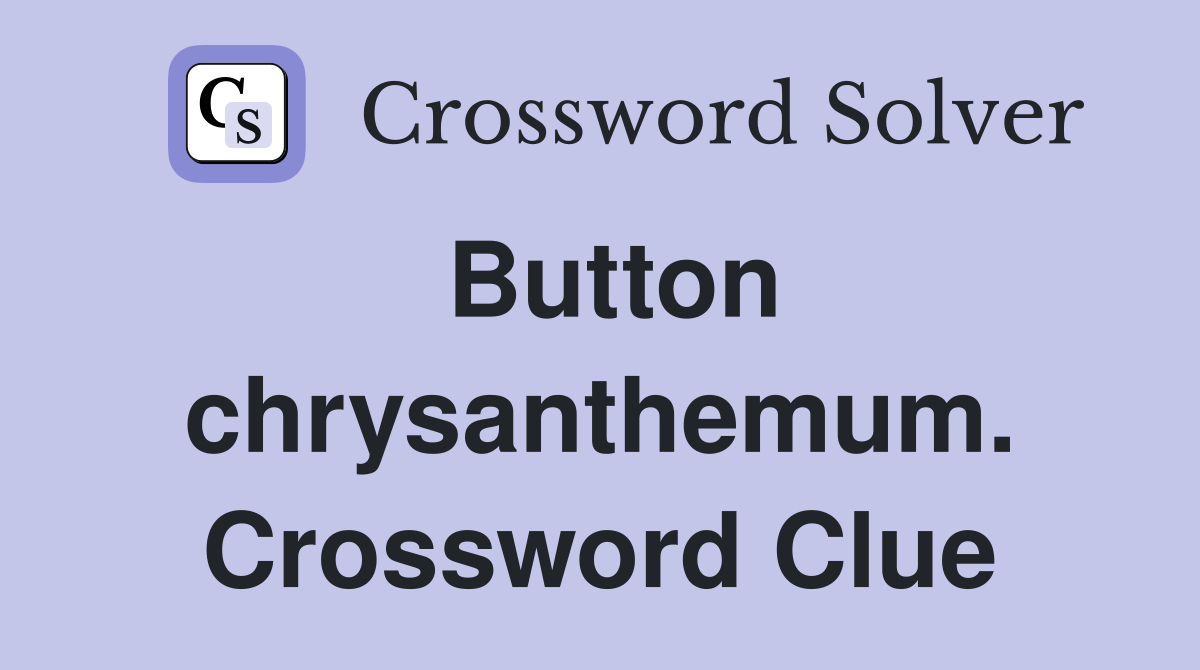 Button chrysanthemum. Crossword Clue