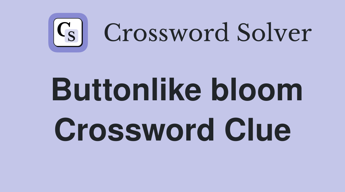 Buttonlike bloom Crossword Clue