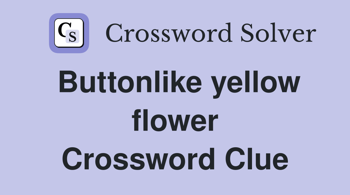 Buttonlike yellow flower Crossword Clue